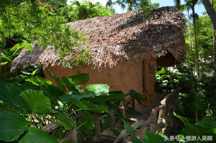 海南玩法推薦丨如何玩轉(zhuǎn)保亭