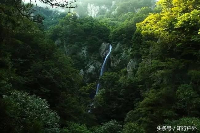 河南第一氧吧免費(fèi)玩啦！瀑布堪比九寨顏值太高要小心醉氧哦~