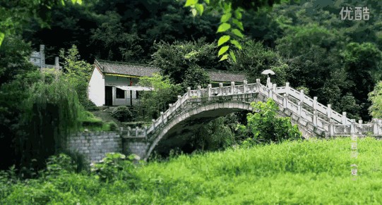 河南第一氧吧免費(fèi)玩啦！瀑布堪比九寨顏值太高要小心醉氧哦~
