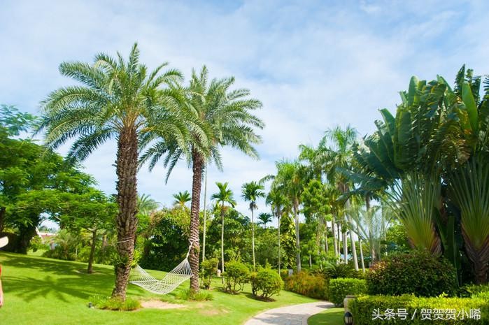 海南最旺的聚寶盆香港玄學(xué)大師李居明每次來都必去的一個(gè)地方