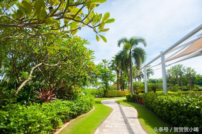 海南最旺的聚寶盆香港玄學(xué)大師李居明每次來都必去的一個(gè)地方