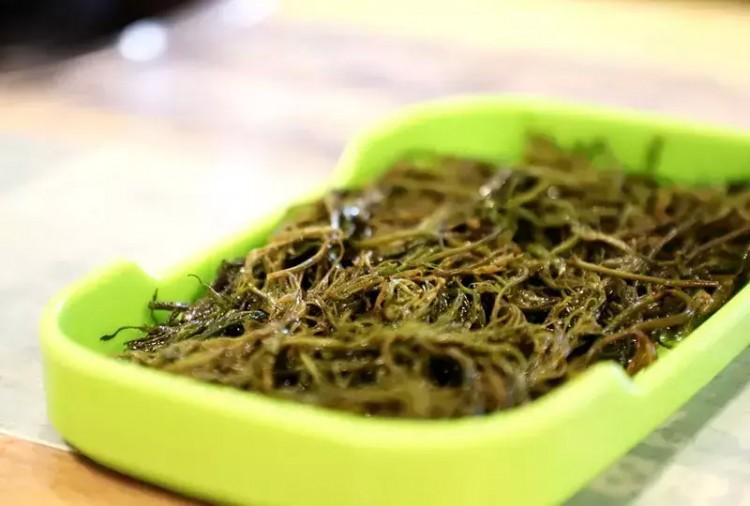 閨蜜在蘭州這家串串店里涮一串串鞭炮吃進嘴里還嘎吱嘎吱響