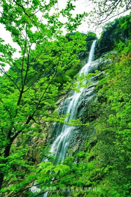明月山硒式新生活真有這么神奇體驗(yàn)師小福寶告訴你答案
