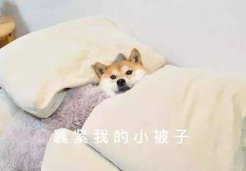 沒有泡湯不冬天！超全馬鞍山周邊泡湯指南 快速收藏！