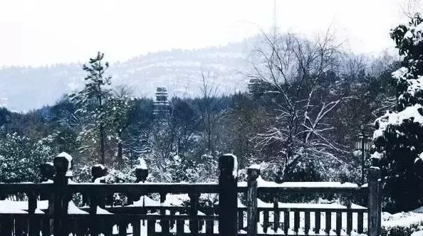 冬日必打卡7家網(wǎng)紅雪景通刷僅需300元！
