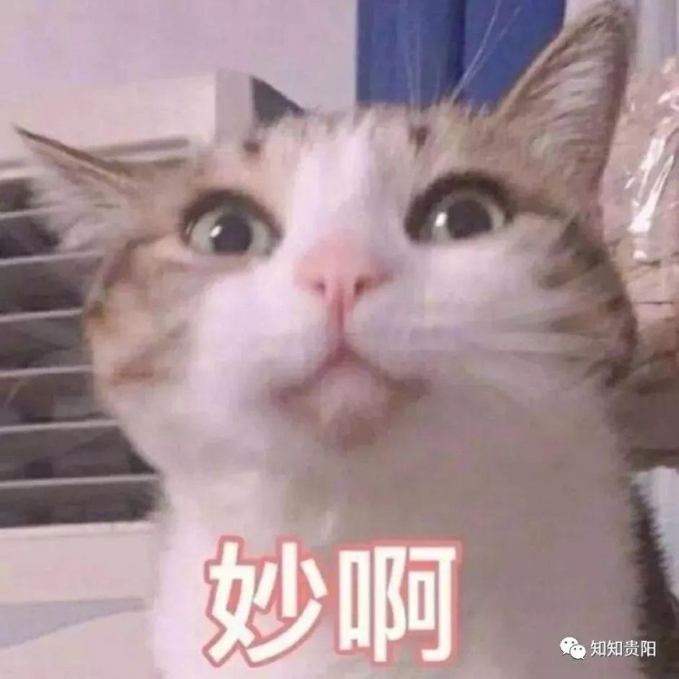 貴陽又多了一個(gè)泡溫泉的好地方！快來看看泉新指南