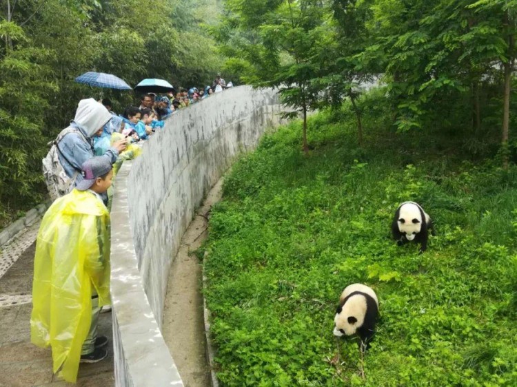 周末輕奢當(dāng)自然教育遇上溫泉SPA