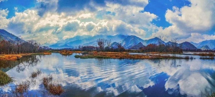 恭喜！湖北一地連獲兩項(xiàng)國(guó)字號(hào)榮譽(yù)