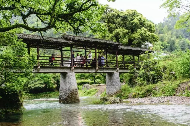 景美人少來石臺(tái)仙寓山給身心做個(gè)森林浴SPA