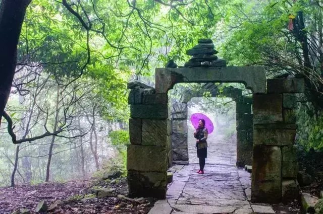 景美人少來石臺(tái)仙寓山給身心做個(gè)森林浴SPA