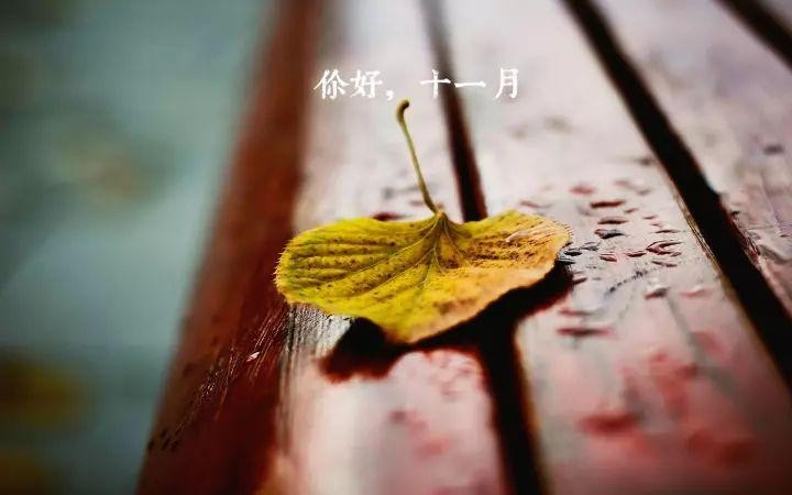 推薦|深秋初冬貴州這些地方美景醉人約嗎