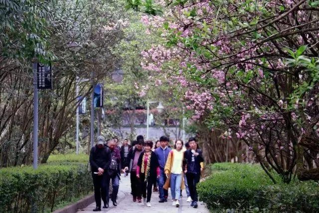 推薦|深秋初冬貴州這些地方美景醉人約嗎