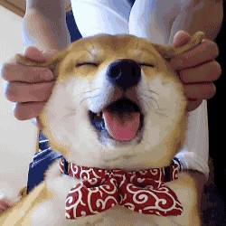 這才是養(yǎng)生的正確姿勢