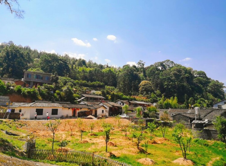 清新福建：走進(jìn)旅游名城連城3日游攻略奉上