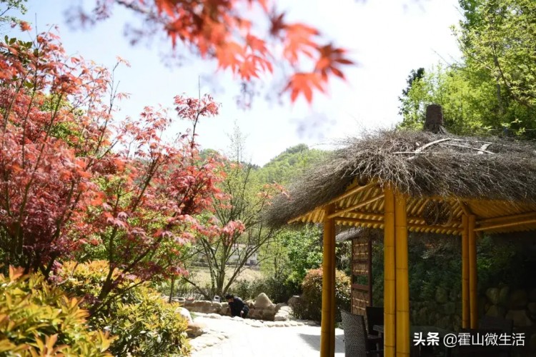 九月來霍山這個(gè)小鎮(zhèn)吃住游齊了