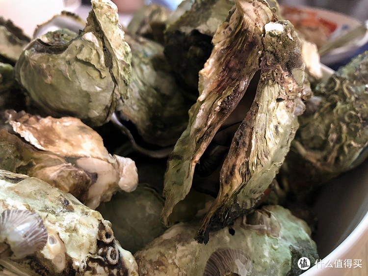 福州｜一個被低估的城市一場隨意而歡喜的旅行