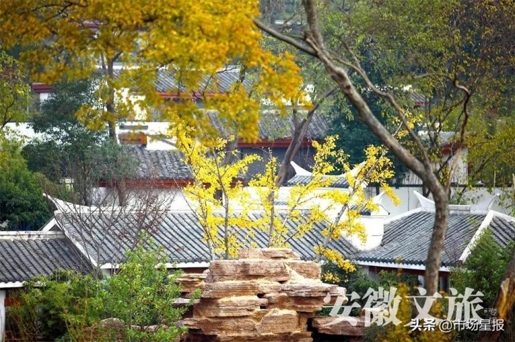 暖滑留余香：休閑皖中與溫泉親密約會