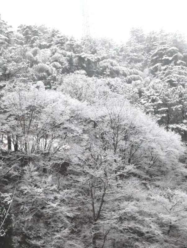 湖北省內(nèi)唯一可以滑雪泡溫泉的寶藏小縣城一到冬天簡直美翻