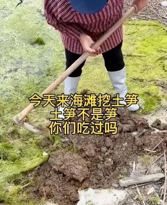 看著福建土筍凍嘴巴就是不敢動