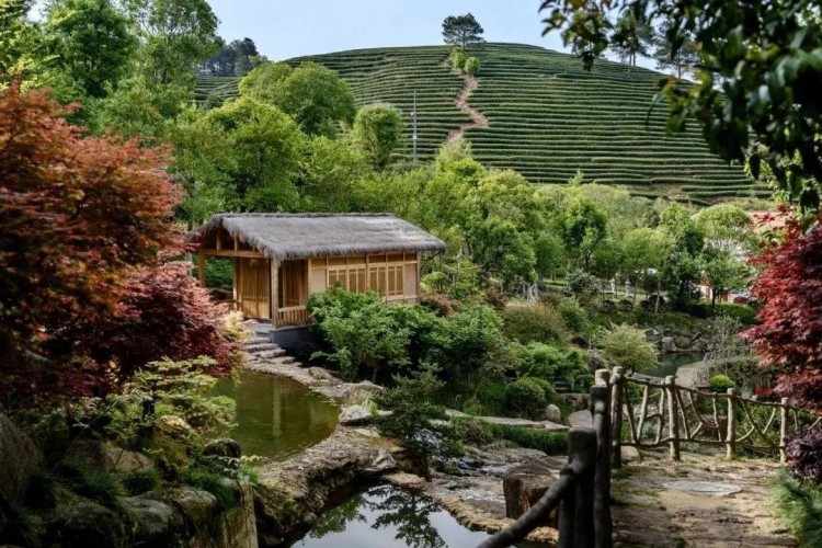 清新福建自游自在！自駕+潮玩的完美碰撞就在武夷山這場超燃活動