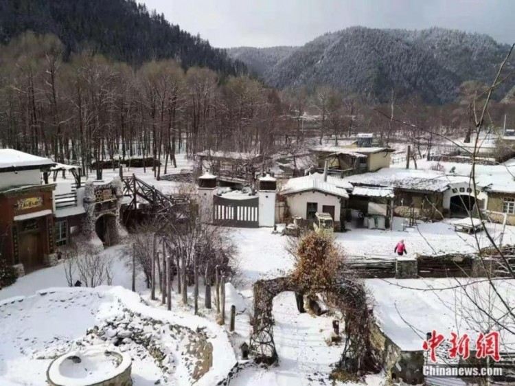 這對60后夫妻隱居山林16年過著人們最向往的生活