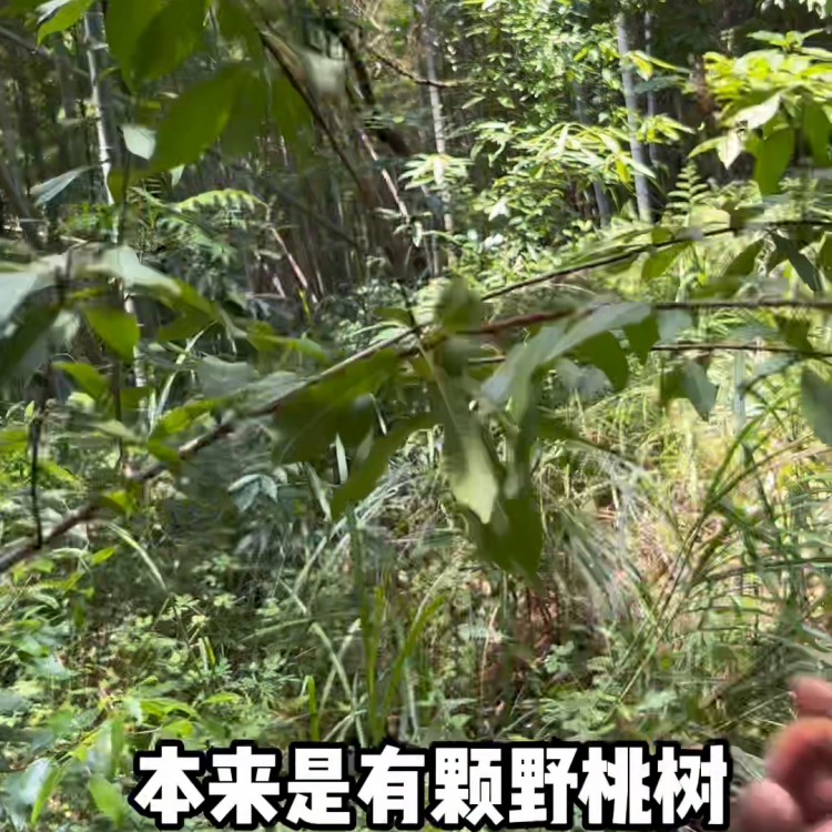 今日到大自然會(huì)所做spa，有沒(méi)有朋友要在一起？#周邊游