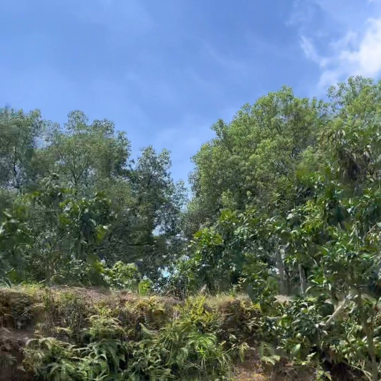 今天去大自然會(huì)所做spa有朋友要一起嗎#周邊游