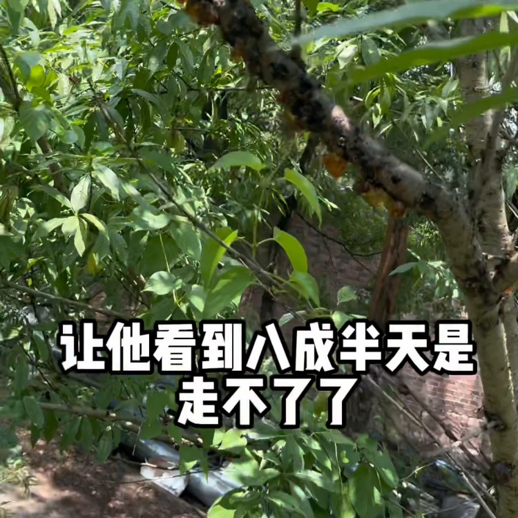 今天去大自然會(huì)所做spa有朋友要一起嗎#周邊游